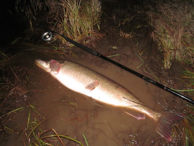 Buyan ---- 3 ----.jpg