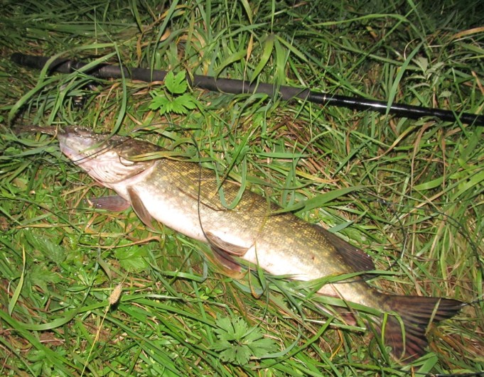 nelkyt senttiä ---- 10 ----.jpg