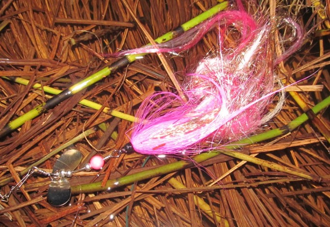 ajoilla ---- 6 ----.jpg