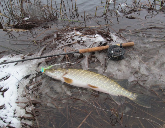 HLS myräkässä ---- 1 ----.jpg