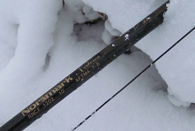 Norboron  ----3 ----.jpg