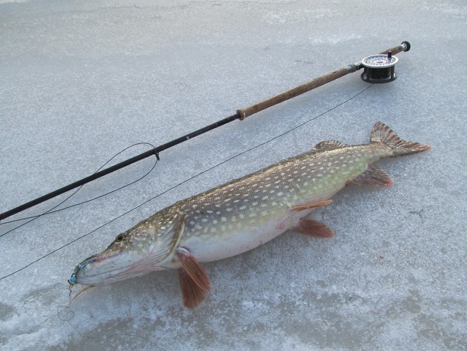 Arpa on heitetty  ---- 2 ----.jpg