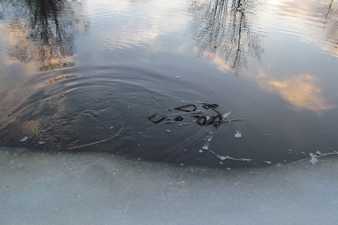 Arpa on heitetty  ---- 7 ----.jpg