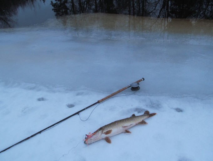 iltapäivällä joella ---- 1 ----.jpg