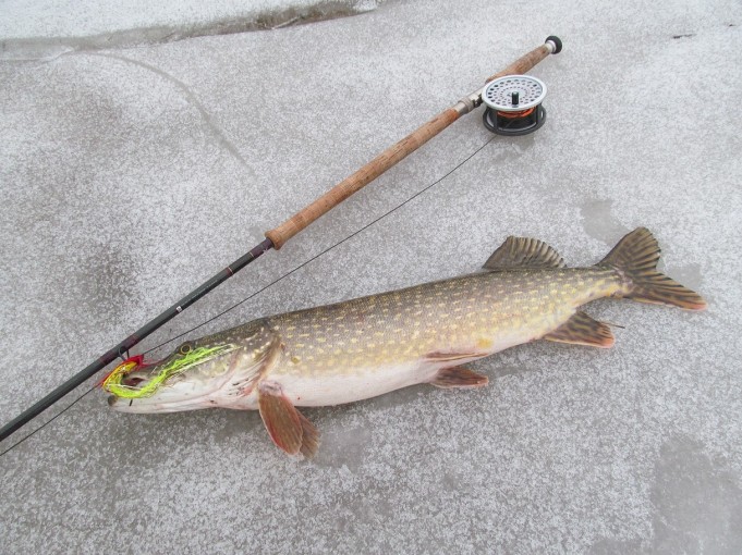 kelta punainen ---- 2 ----.jpg