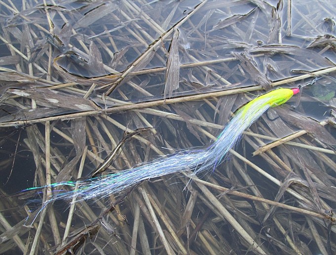 Sportex ---- 3 ----.jpg