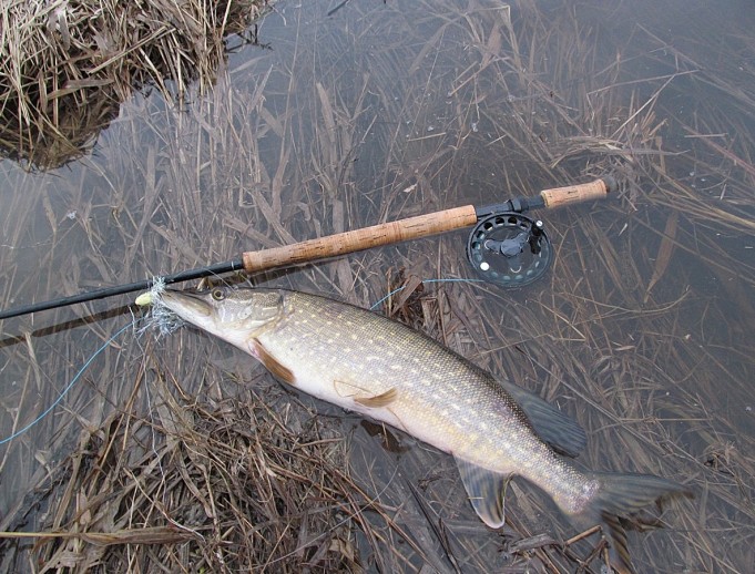 Monark ---- 60----.jpg