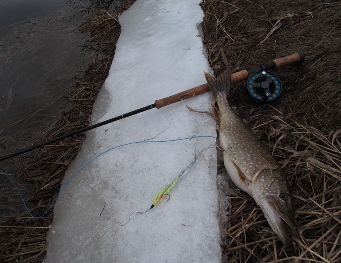 Monark ---- 70----.jpg