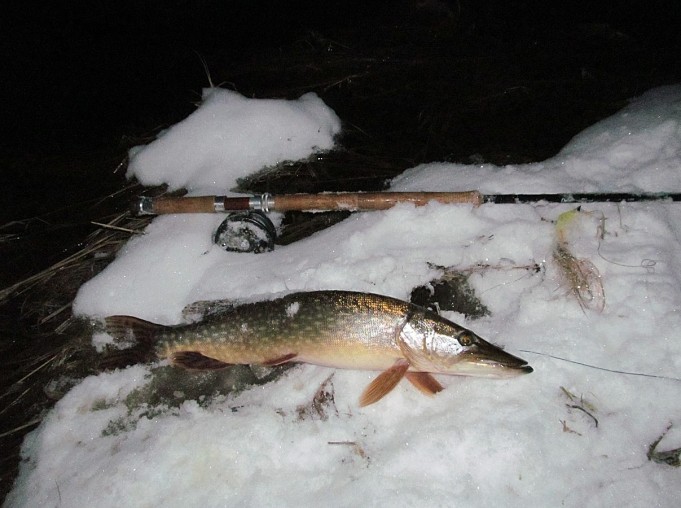 Spey ---- 1 ----.jpg