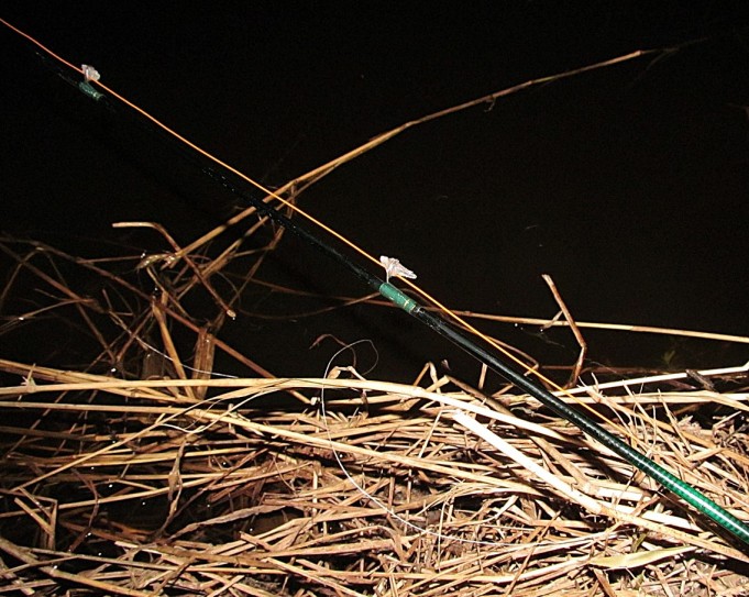 ABU Conolon ---- 10 ----.jpg