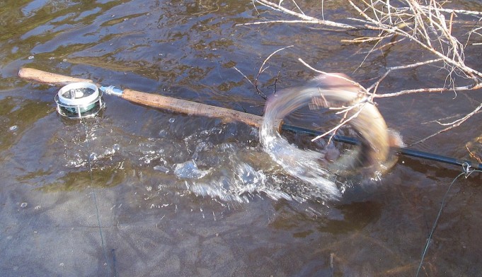 vapautus ---- 6 ----.jpg