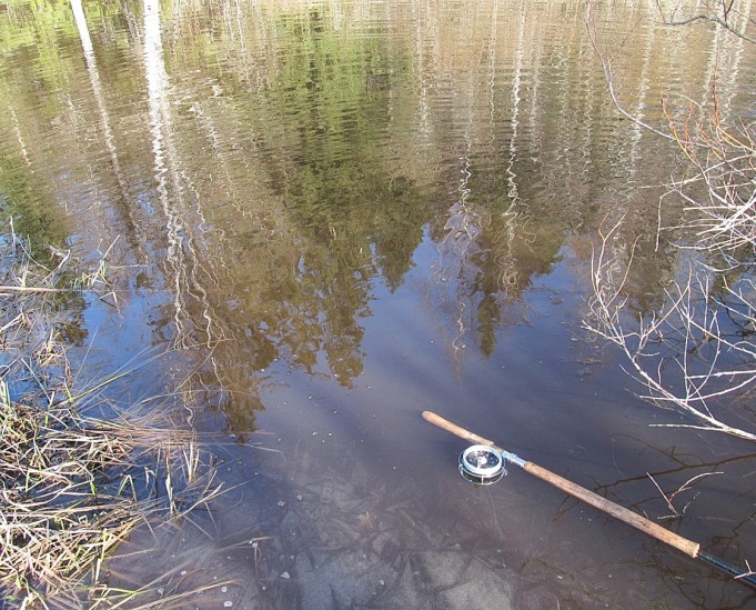 vapautus ---- 9 ----.jpg