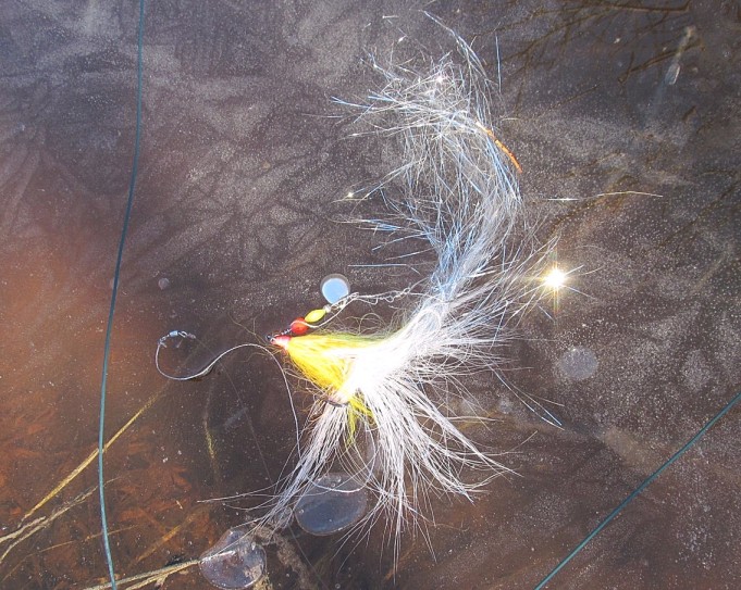 vapautus ---- 10 ----.jpg