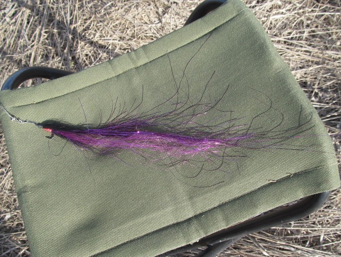 Lila ---- 2 ----.jpg