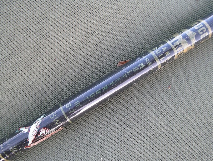 Lila ---- 3 ----.jpg