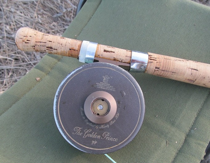 Lila ---- 4 ----.jpg