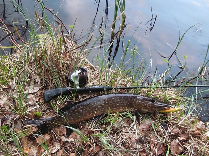 Anpet ---- 10 ----.jpg