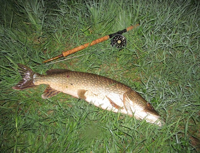 Makuualusta ---- 2 ----.jpg