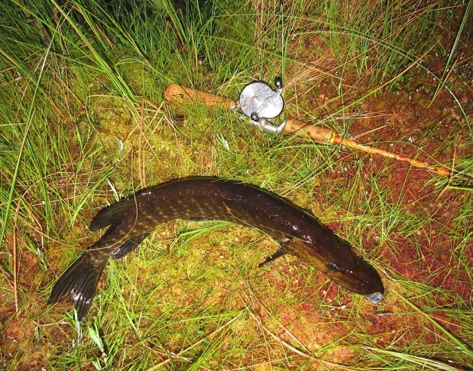 Direct Drive ,,,, 1 ,,,,.jpg