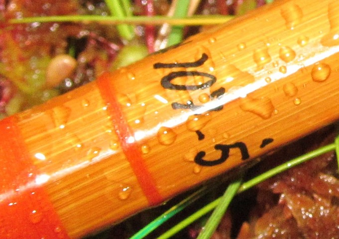 Direct Drive ,,,, 8 ,,,,.jpg