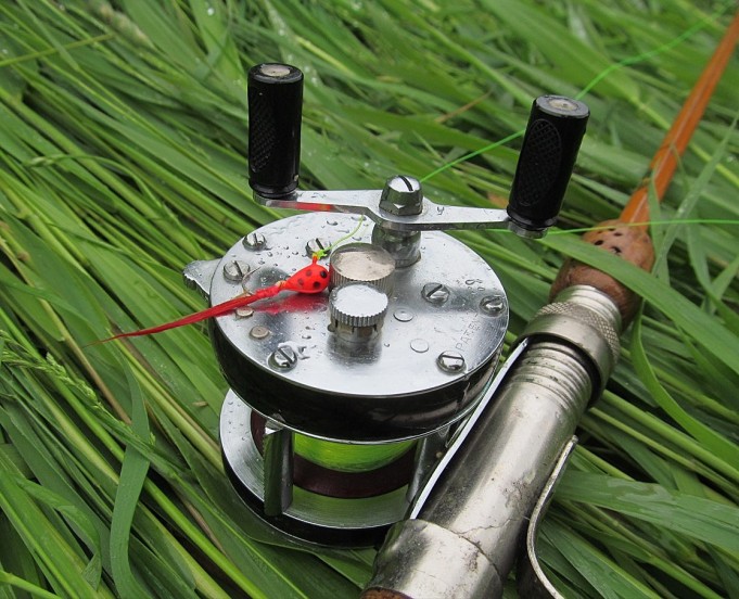 Junior ---- 3 ----.jpg