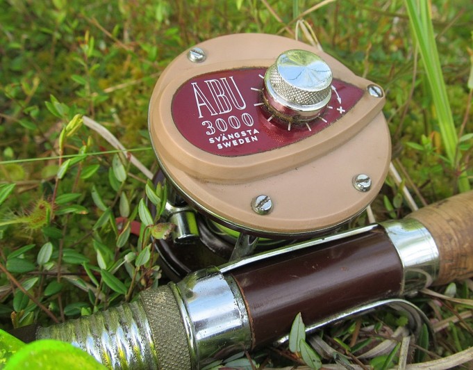 Buzzer ,,,, 2 ,,,,.jpg