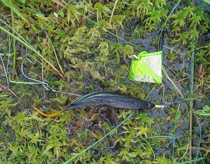 Buzzer ,,,, 8 ,,,,.jpg