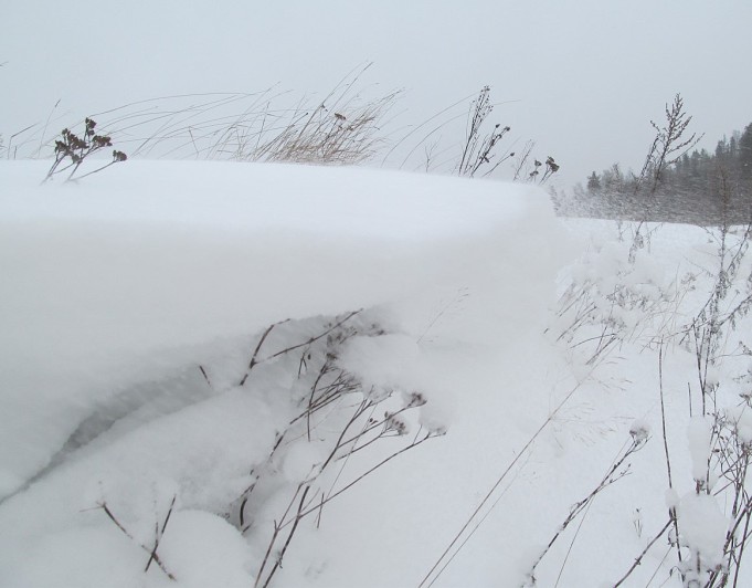 HLS taas-- ---- 1 ----.jpg