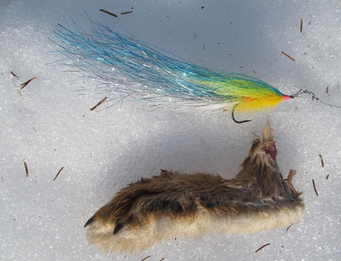 Diplomat ____ 1 ----.jpg