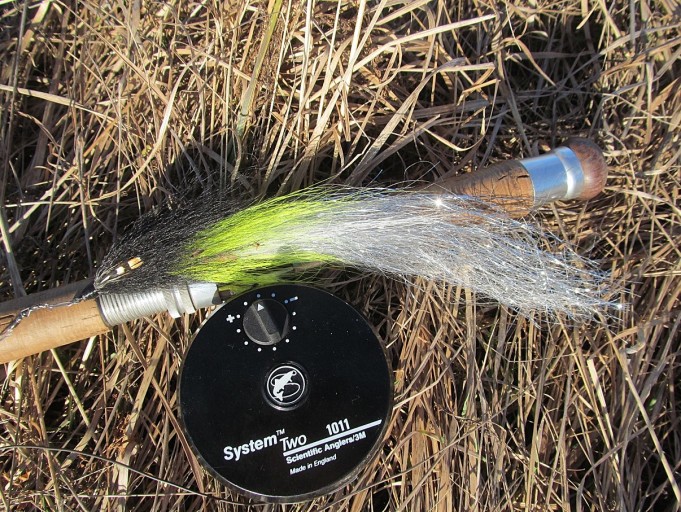 System Two ---- 1 ----.jpg