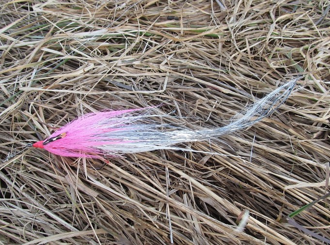 ABU perhovapa ---- 2 ----.jpg