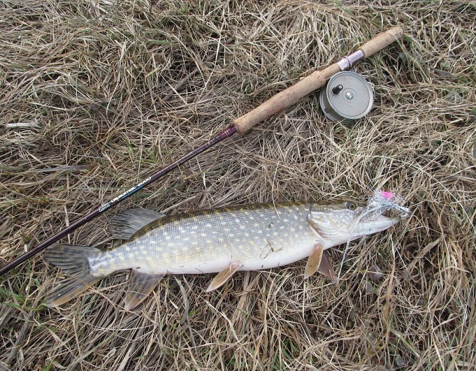 ABU perhovapa ---- 3 ----.jpg