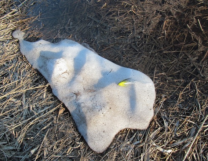 B ja W ---- 2 ----.jpg