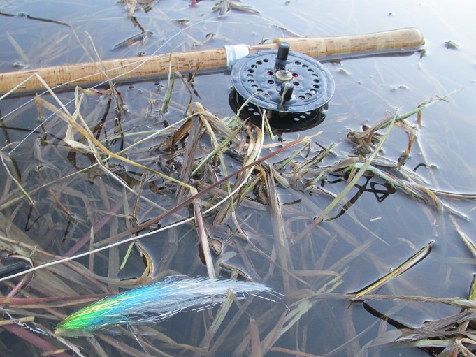 B ja W ---- 7 ----.jpg