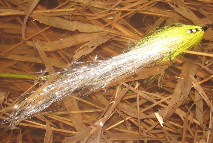 B ja W 15 ---- 2 ----.jpg