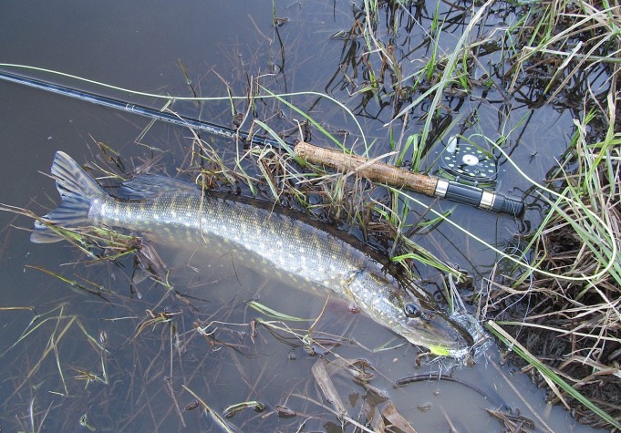 Boron huhtikuu ---- 4 ----.jpg