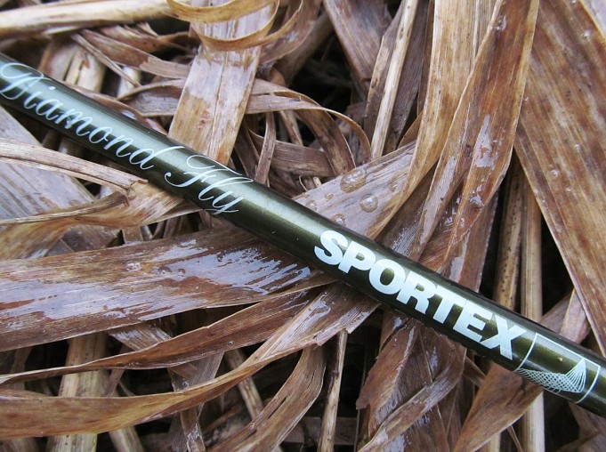 kevätpurolla ---- 8 ----.jpg