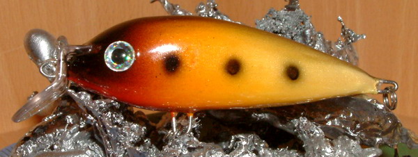 Epsåålainen mulukosilmäpullukka..