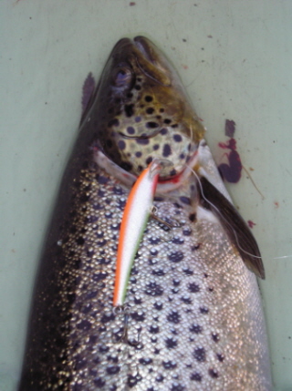 Tanttu otti ambulanssiin.jpg