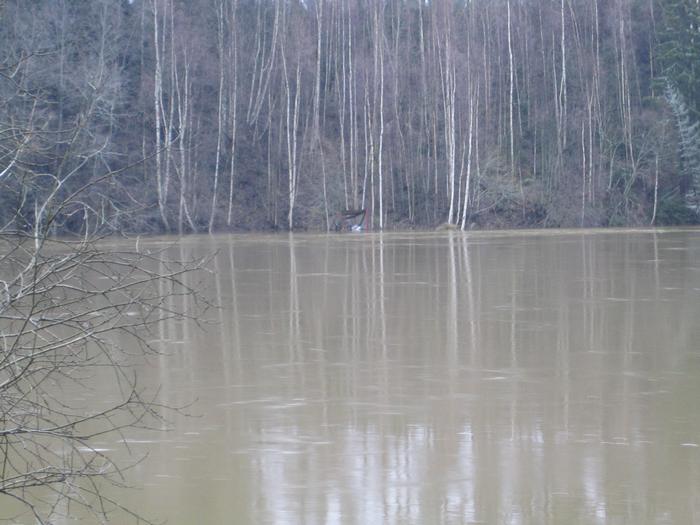 Kortteen "kortsulaavu"