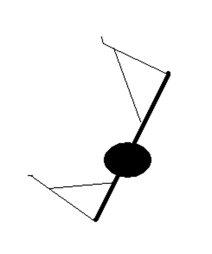 karkeesti vapa oli tän mallinen ...