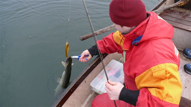 Sepaluksen avaus1.jpg