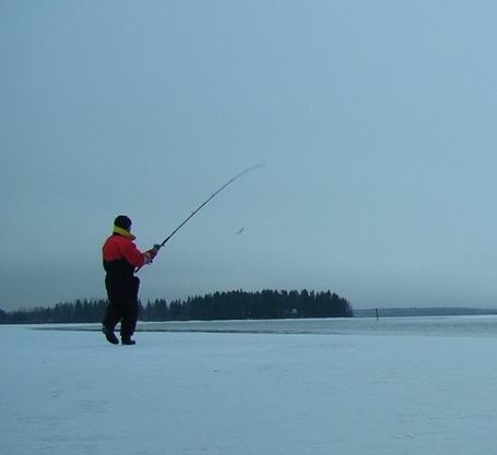 Resize of 2007-01-07 sulalla crop.jpg