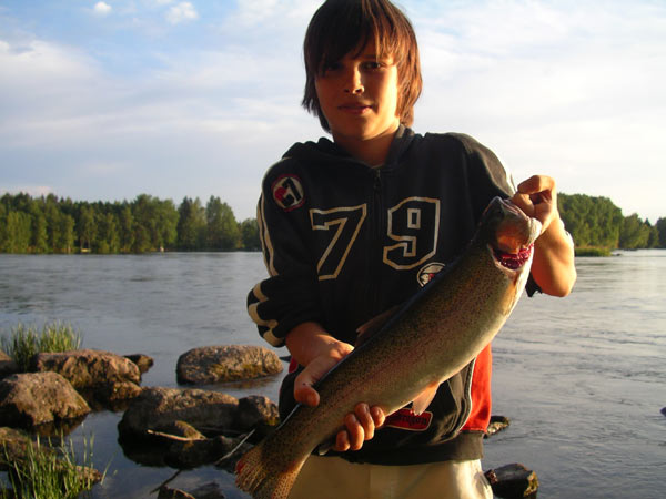 Allu pönöttää.jpg