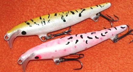 Alkuvuosi 2007 319.jpg