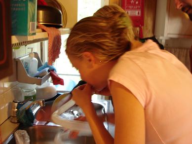 Naapurin likka pesee suolta.