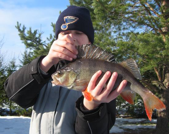 Ahven 15.3. 2007 020.jpg