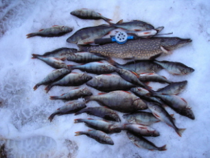 Sunnuntain parhaat Suvakselta.jpg