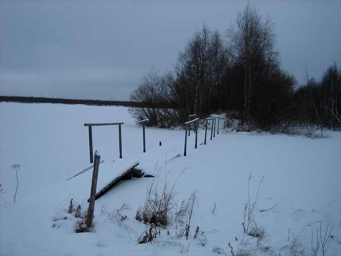 Talvinen lintujärvi.jpg