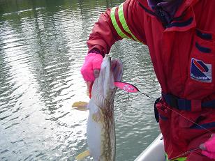 Matalasta 6,2kg pikkutäkyyn.